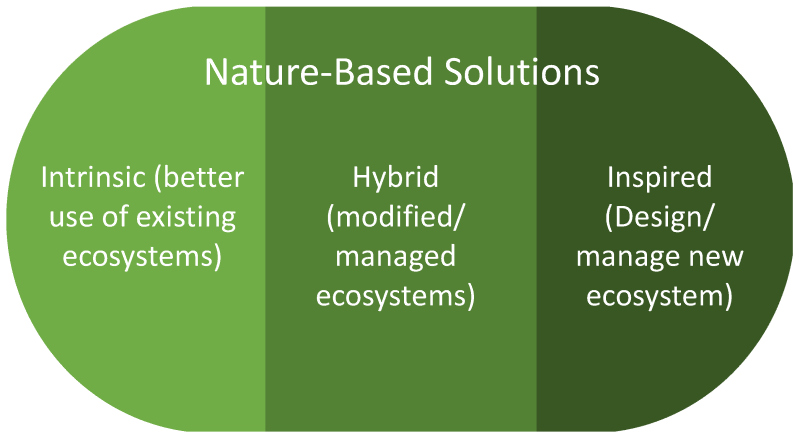 sustainability-nature-based-water-